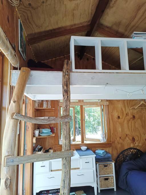 Barrytown Gumboot Paradise Eco Stay מראה חיצוני תמונה